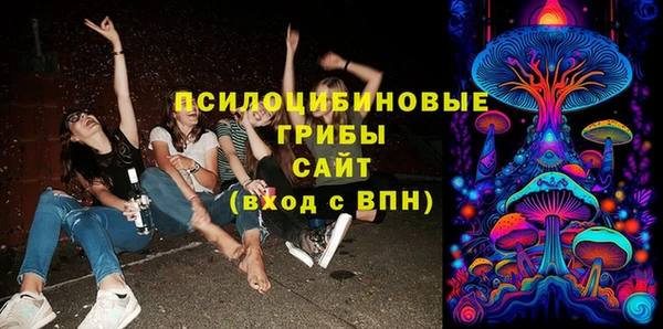 Альфа ПВП Беломорск